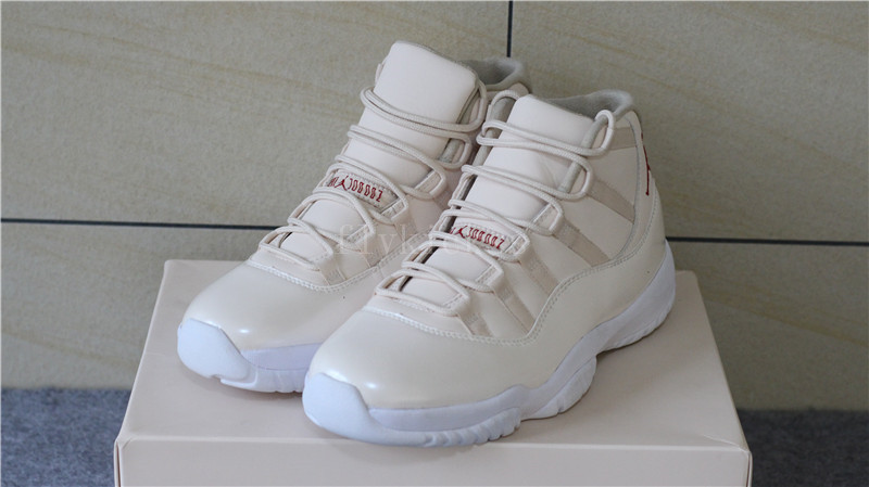 Air Jordan 11 20th Anniversary